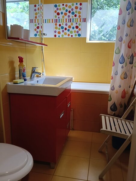 Berceni, Spitalul Bagdasar-Arseni,